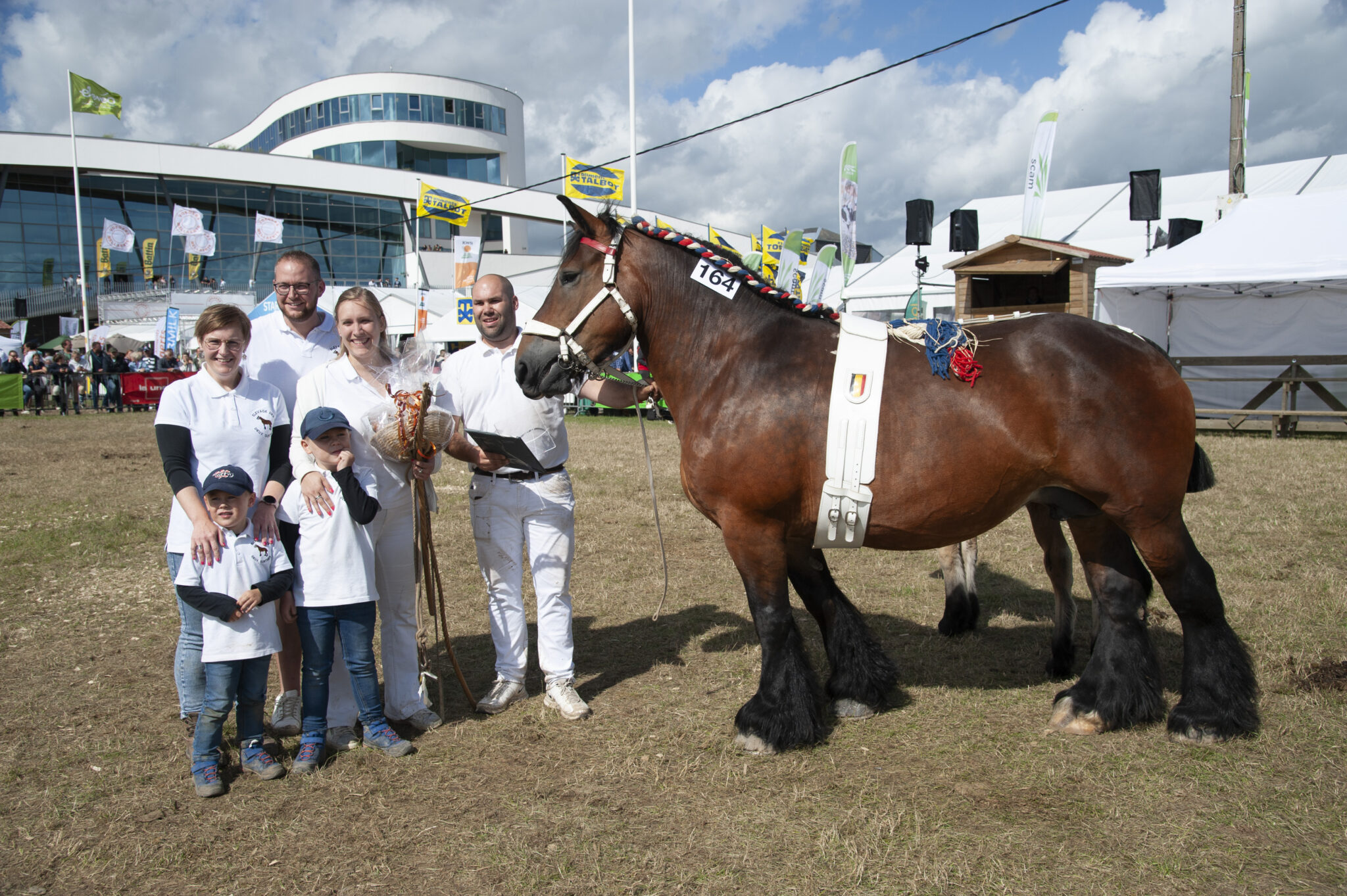 La Foire De Libramont Studbook Du Cheval De Trait Ardennais